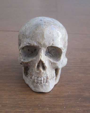 Skull-Head-Bone-Carving-Regular-Face-(image-from-front)